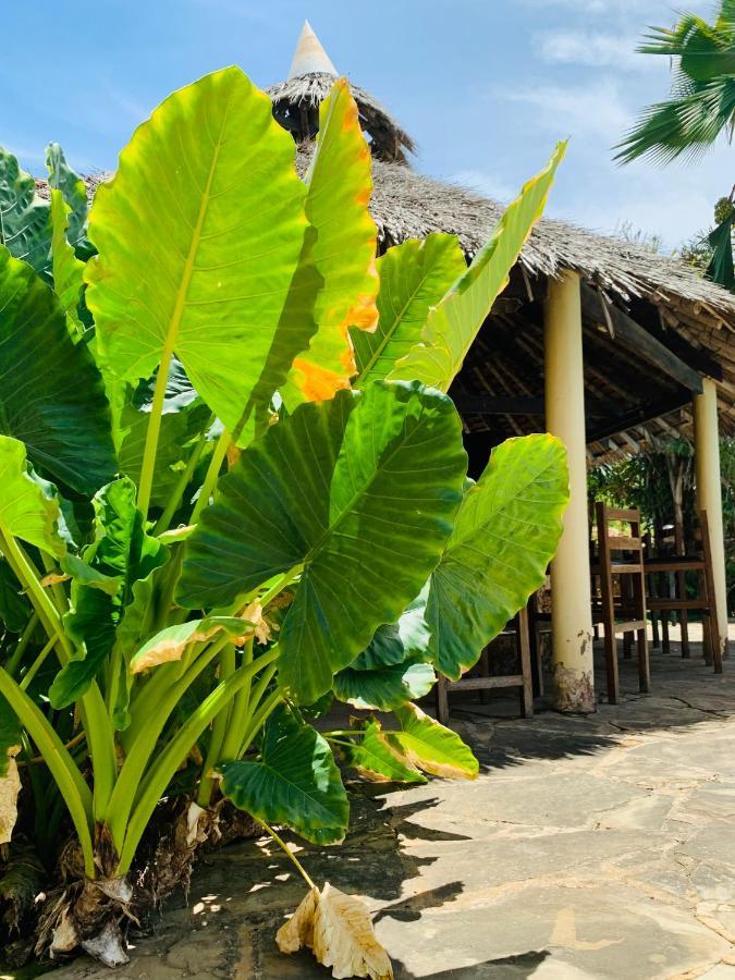 Ltorec Nyali Beach Bagian luar foto